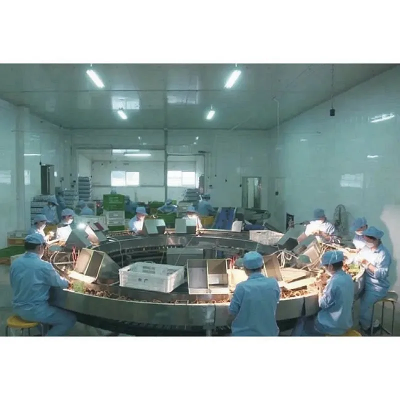 Customizable Precise Temperature Control Fully Automatic Chicken Duck Egg Incubators for Professional Hatchery