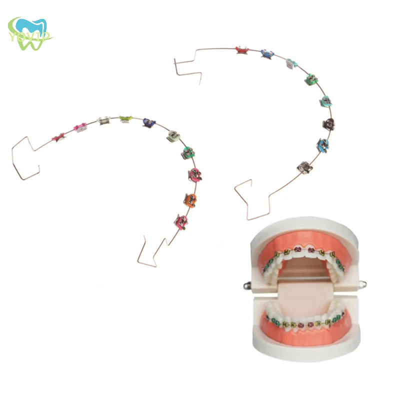 2Pcs Dentistry Fake Brackets Braces Teeth Temporary Dental Decoration Accessories Metal Wires Colorful Orthodontic Ligature Ties