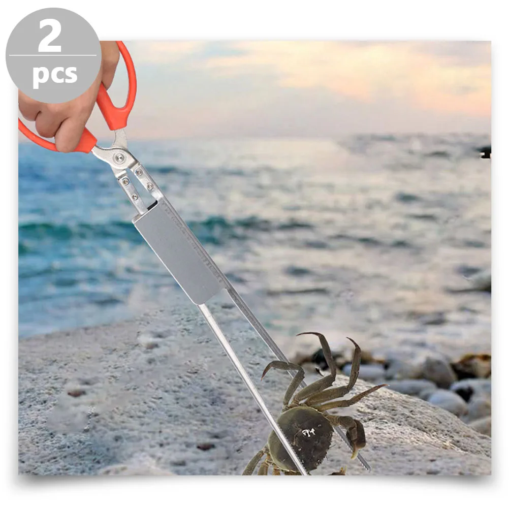 

2Pcs Sturdy Eel Clamp Stainless Steel Multi-Function Tong for Crab Loach Clamping Home Kitchen Outdoor Use Crab Tong