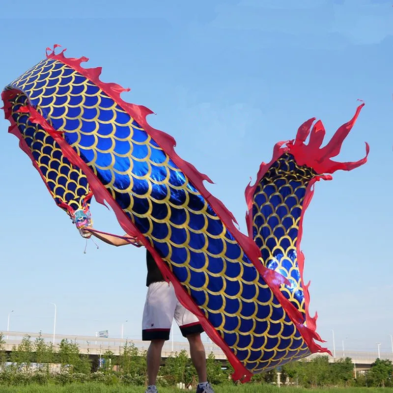 Baile de dragón chino con cabeza para adultos, accesorios de rendimiento de carnaval, doble cara, estampado en caliente, Fitness, 6/8 metros