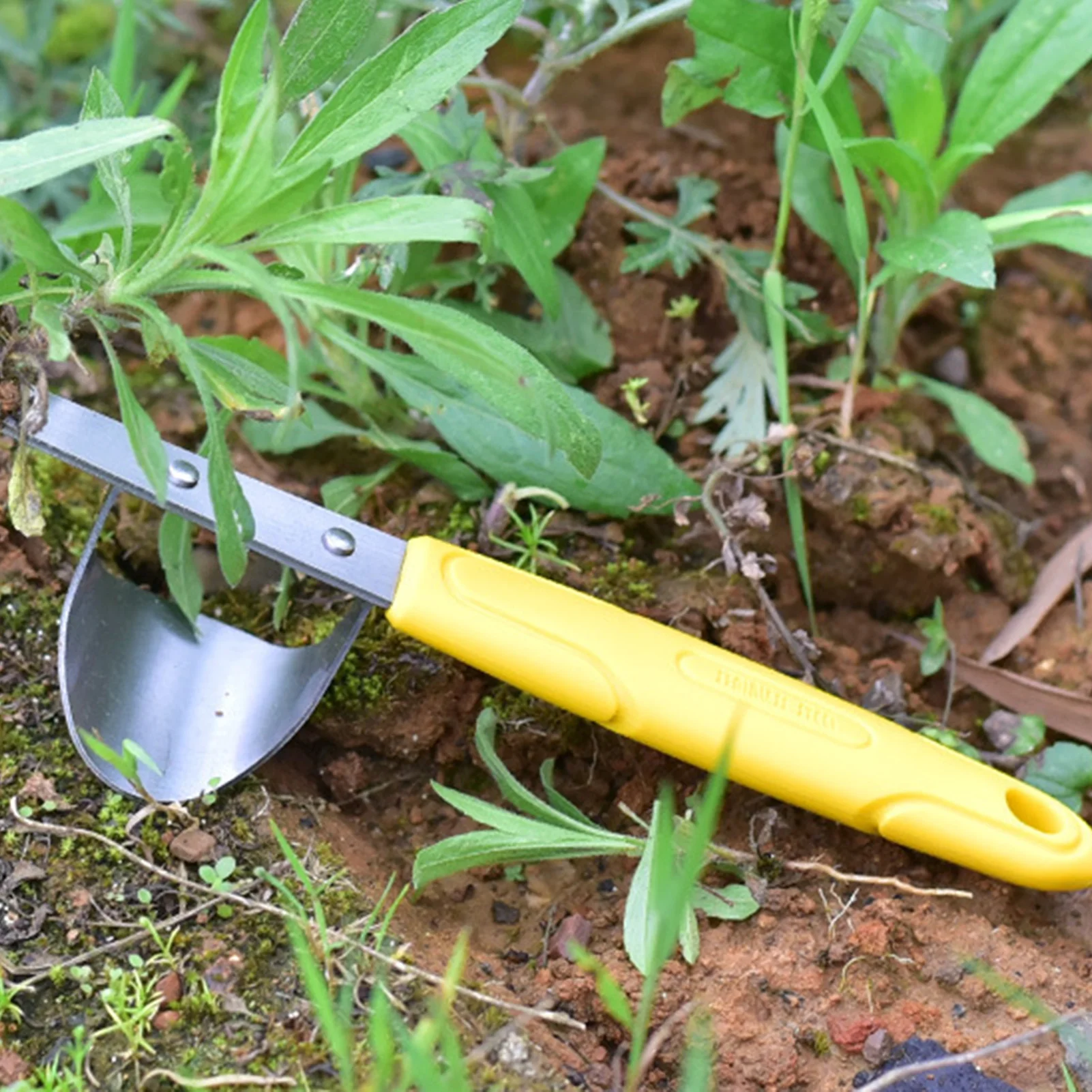 Deshierbe manual de acero inoxidable para jardín, herramienta extractora de malezas de acero inoxidable para excavación de césped, granja, trasplantar, deshierbe resistente
