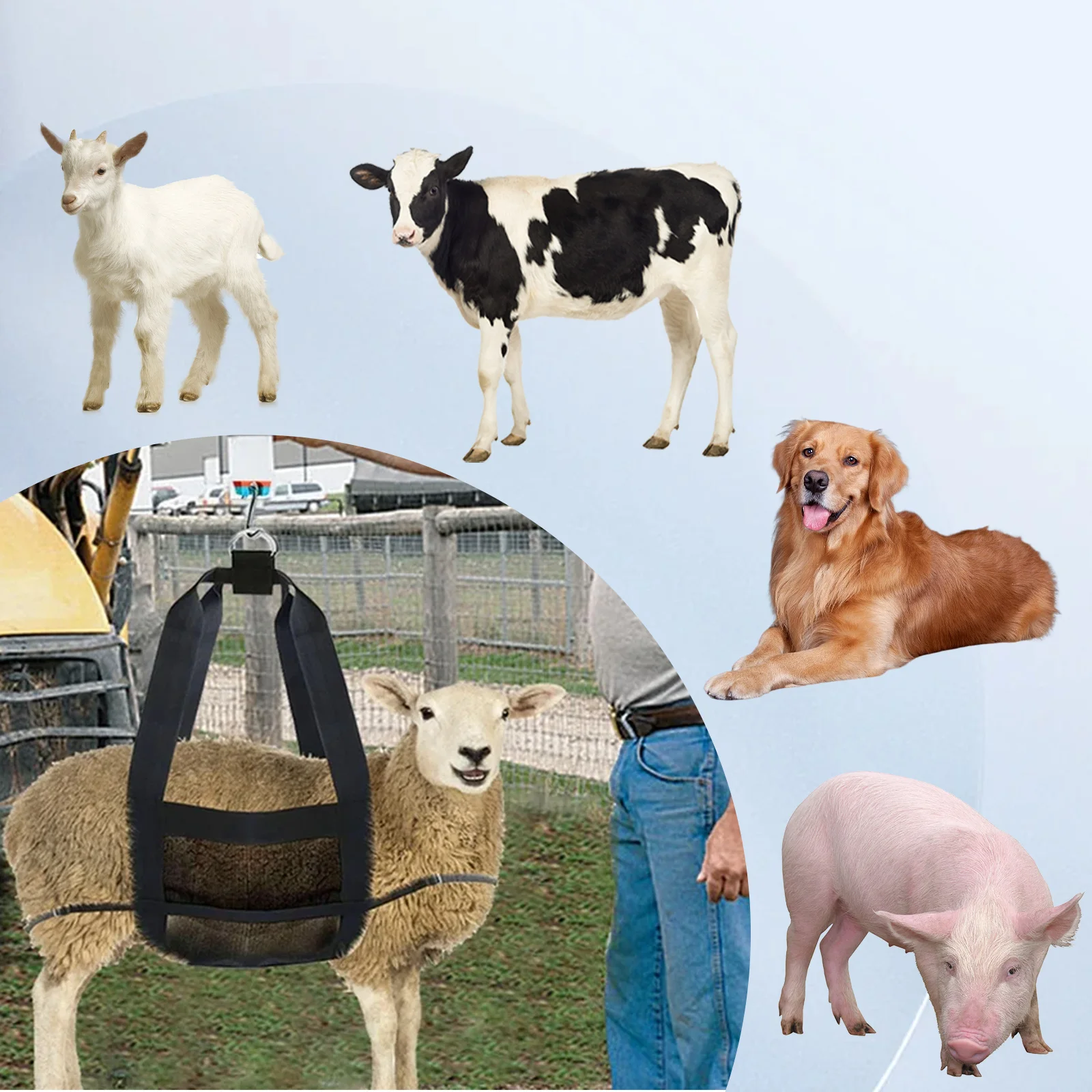 1 قطعة حبال العجل لوزن الحيوان-مقياس العجل المعلق مقياس الوزن الرافعة مع حزام قابل للتعديل لوزن الكلب الماعز الماشية #5