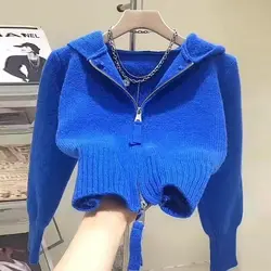 Autumn Winter Pink Knitted Cardigan Hooded Zipper Jackets Sweaters Short Tops Streetwear Design Trend Coats Loose Lazy Coat New