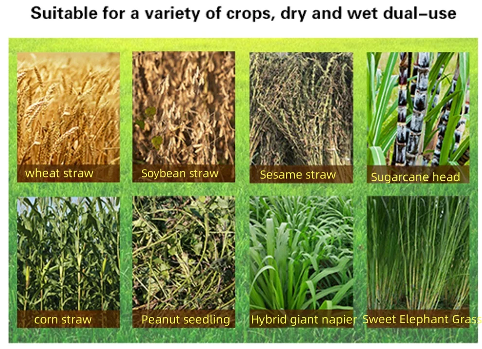 Factory Direct Supply Cow Sheep Animal Agricultural and Fodder Chaff Cutter Machine Feed Food Grass Rice Corn Chopper