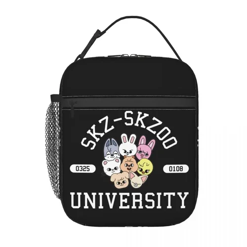 Bolsas de almuerzo aisladas con pajita en S, contenedor, bolsa térmica, fiambrera, picnic universitario, bolsos de comida reutilizables