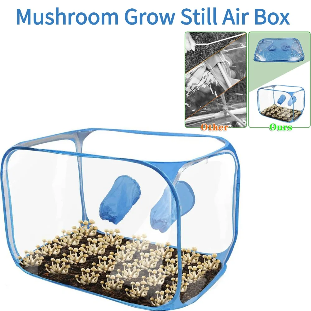 

Воздушная коробка для выращивания грибов, портативная пластиковая микология, размножение, выращивание, микология, грибная камера для фруктов, палатка для выращивания
