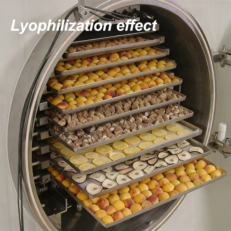 Rapid Cooling Automatic Energy - Food Energy Snacks 评论和价格