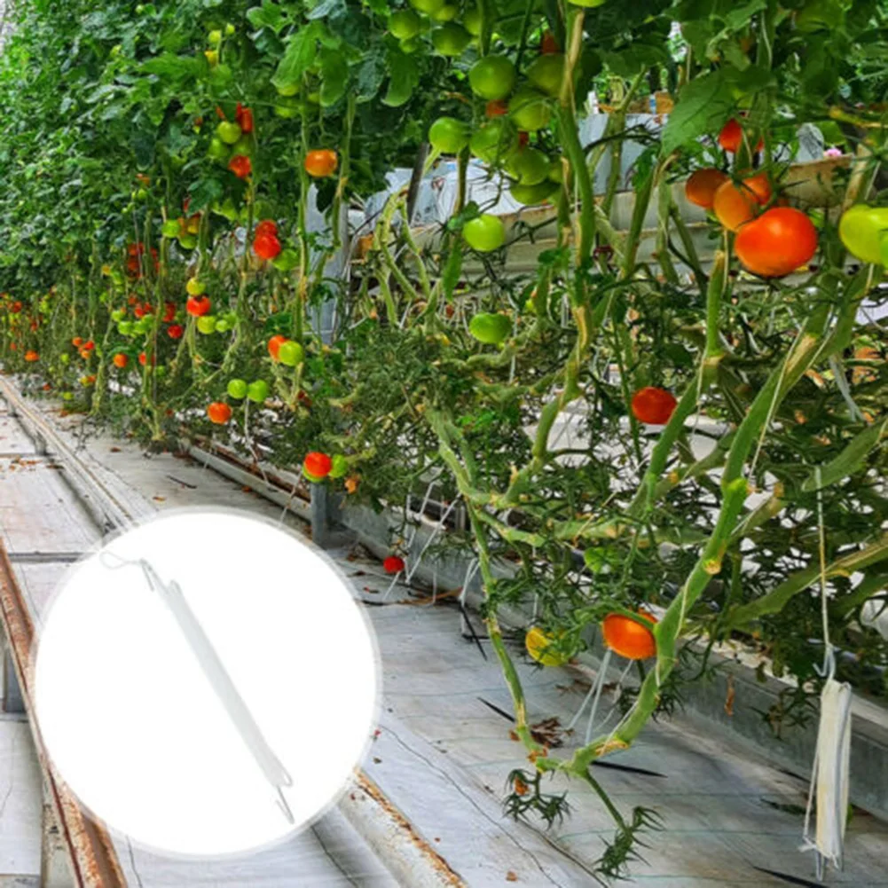 

Vine Cucumber Pepper Plant Hooks Hook Garden Garden Tools Cucumbers Hook Plant Hooks Plant Supports Plant Ties