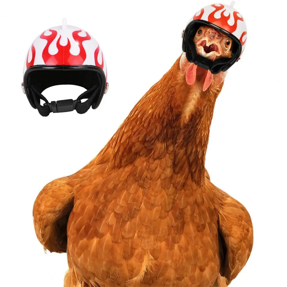 Chicken Helmet Funny Parrot Bird Hat Headwear Small Hard Hen Protective Helmet For Chickens Birds Parakeet