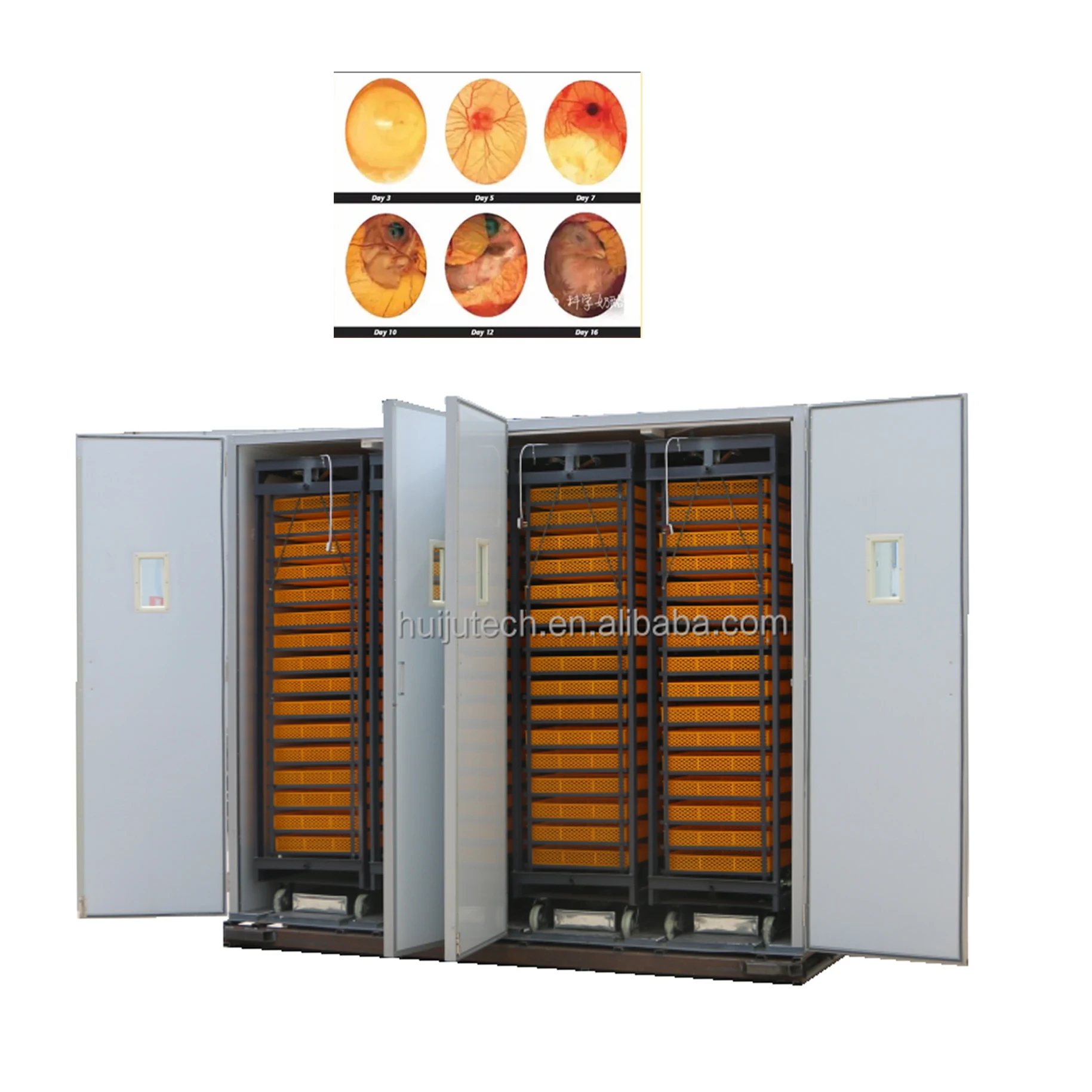 Export To Africa Fully Automatic 20,000 Egg Incubator Hatcher Combined Machine HJ-I24