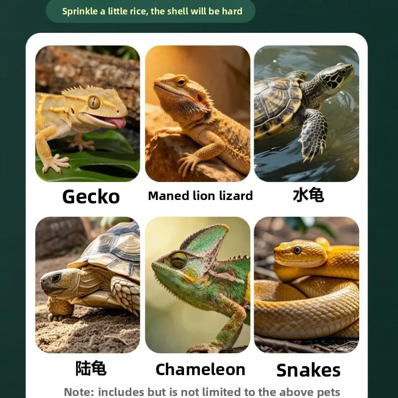 NOMOY Complete Reptile Supplement Kit: Calcium with D3, Calcium without D3 & Multivitamin, Prevent MBD&Ensure Balanced Nutrition