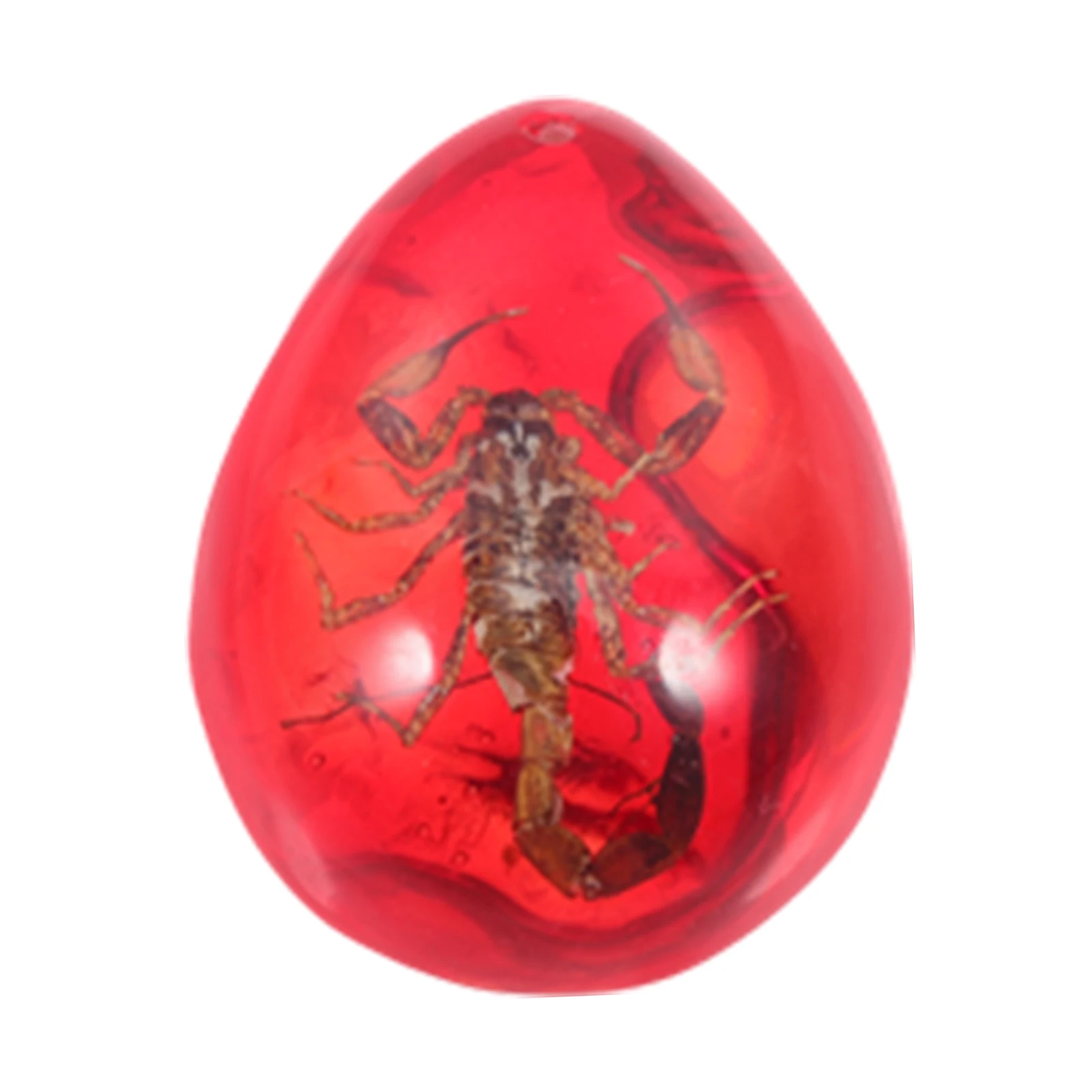 

Specimen Beetle Shaped Crafts Lightweight Portable Jewelry Decoration Teaching Tool for Kids Learning Resin Amber Pendant