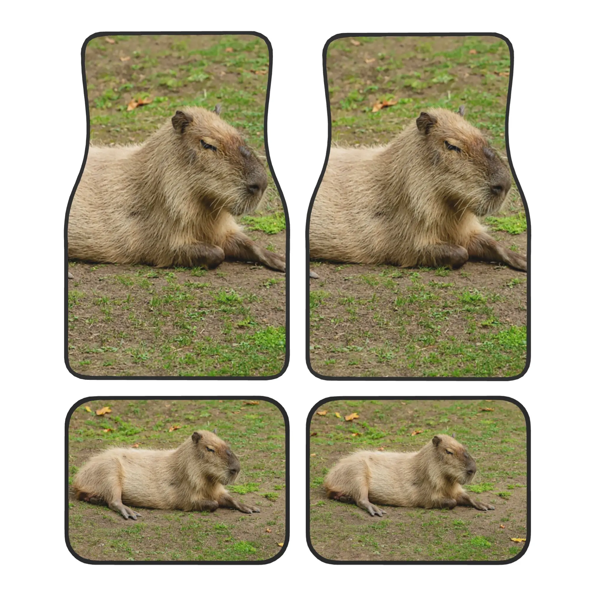 

Crystal Velvet Car Floor Mats 4 Pcs Carpets Rugs Just Chilled Capybara Animal Pet Universal Car Front Rear Carpets Foot Mats