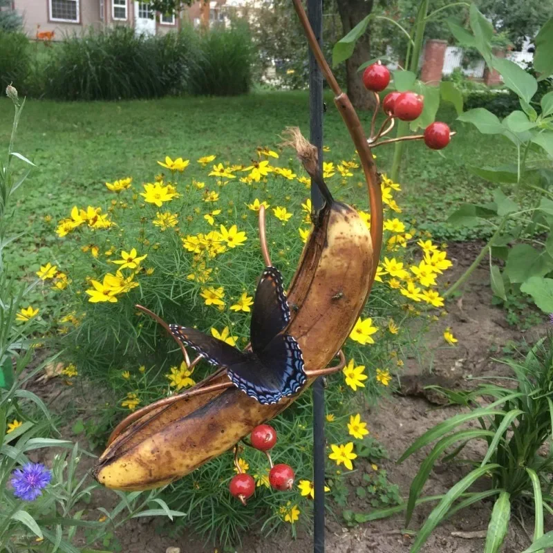 Butterfly Banana Hammock, Butterfly Banana Feeder