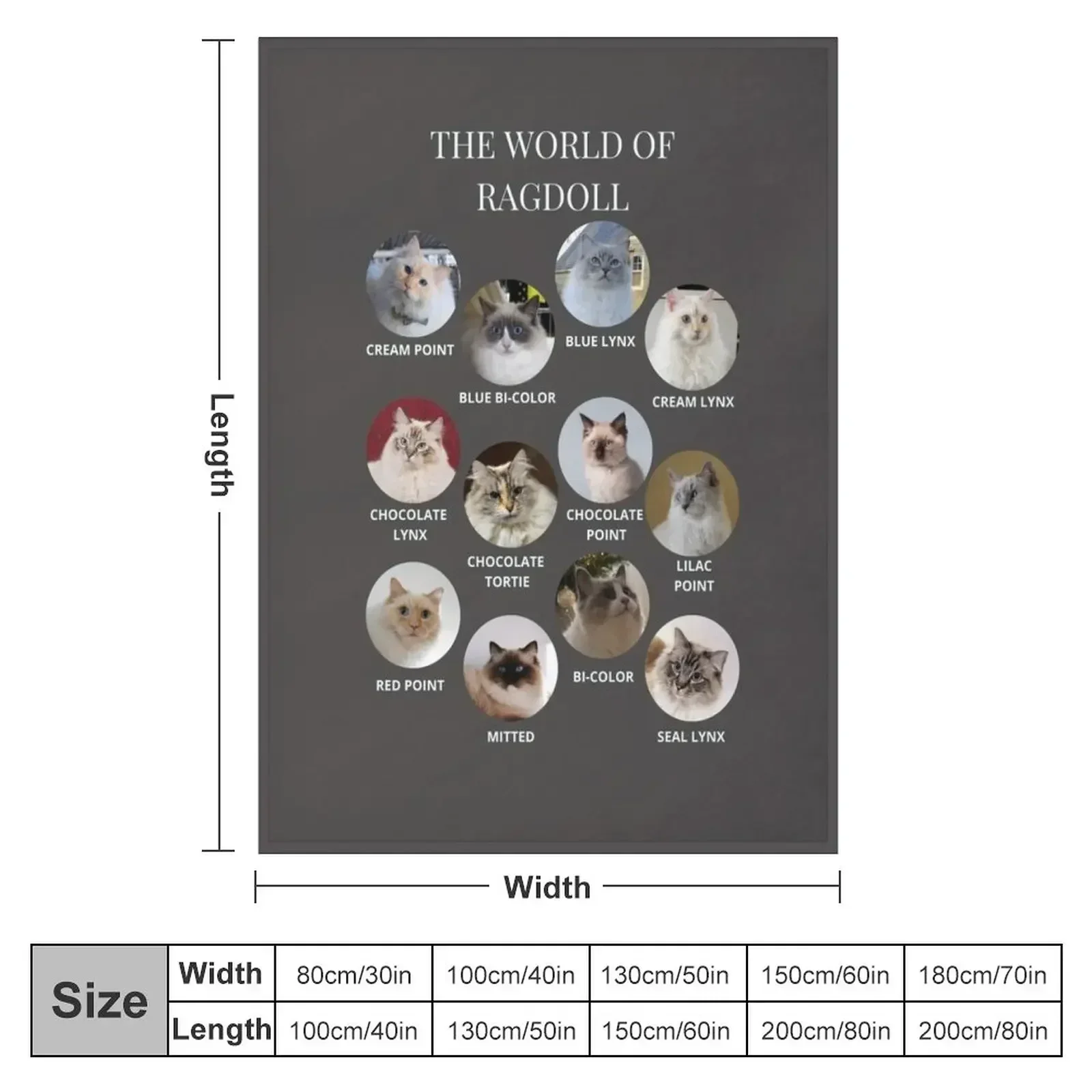 The World of Ragdoll Cats Throw Blanket Sofa Plush wednesday Designers Blankets