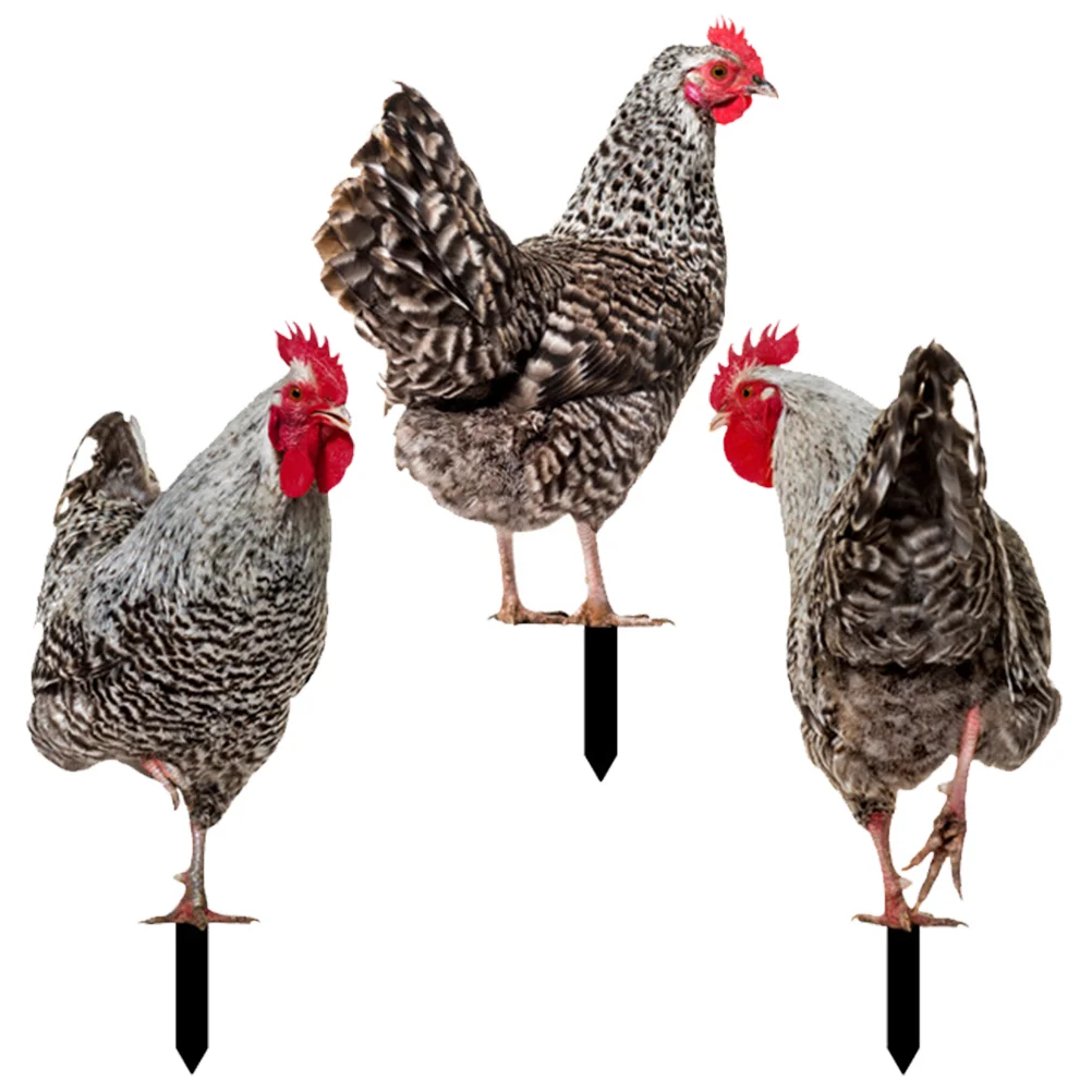 3 Pcs Decorative Garden Inserts Vibrant Chicken Stake Animal Sign Lawn Yard Outdoor Ornament Acrylic