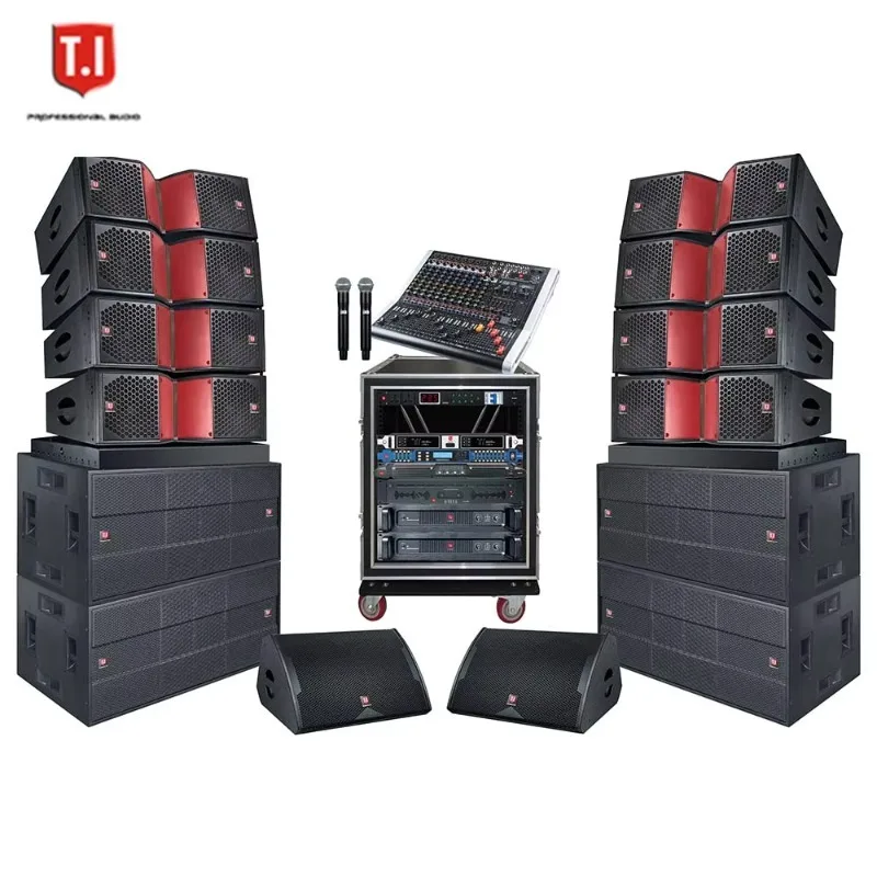 Dual 10 Inch Portable Dynamic Tone For Any Venue 800W Clear Sound Ideal For Stage Performance
