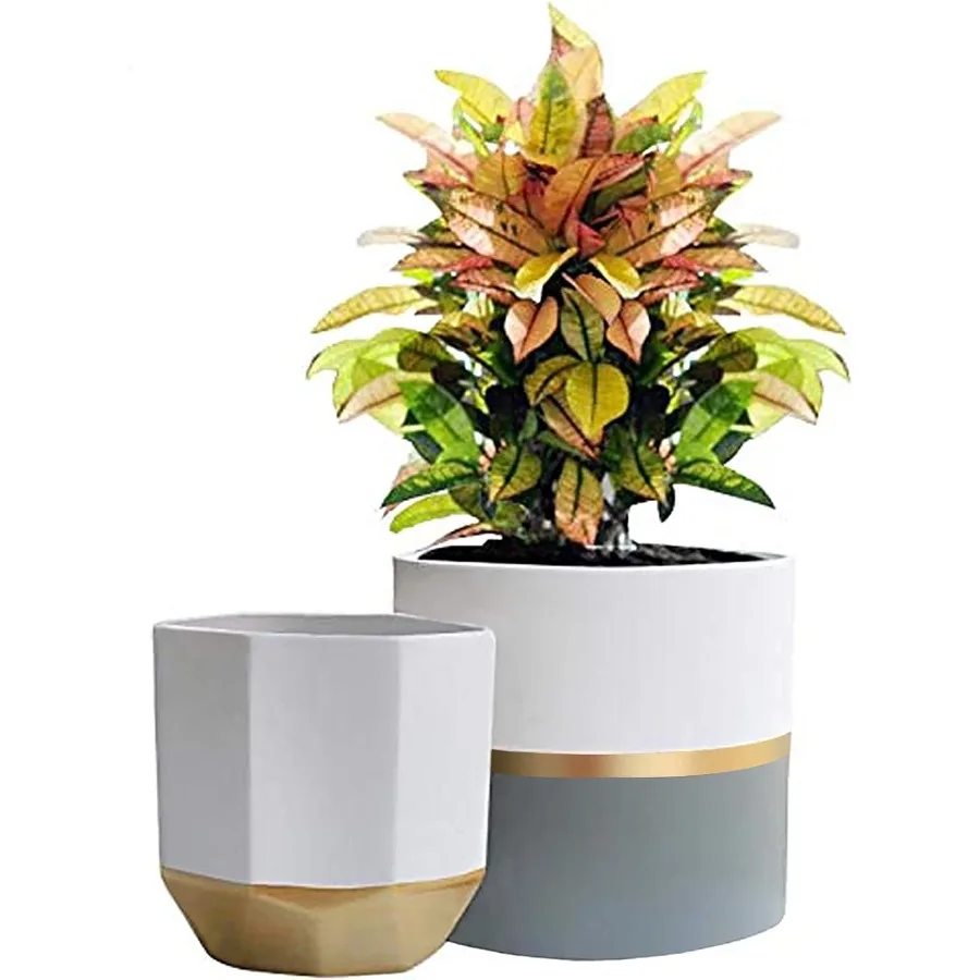 

White Ceramic Flower Pot Garden Planters 6.7 Inch Pack 2 Indoor Plant Containers with Gold and Grey Detailing