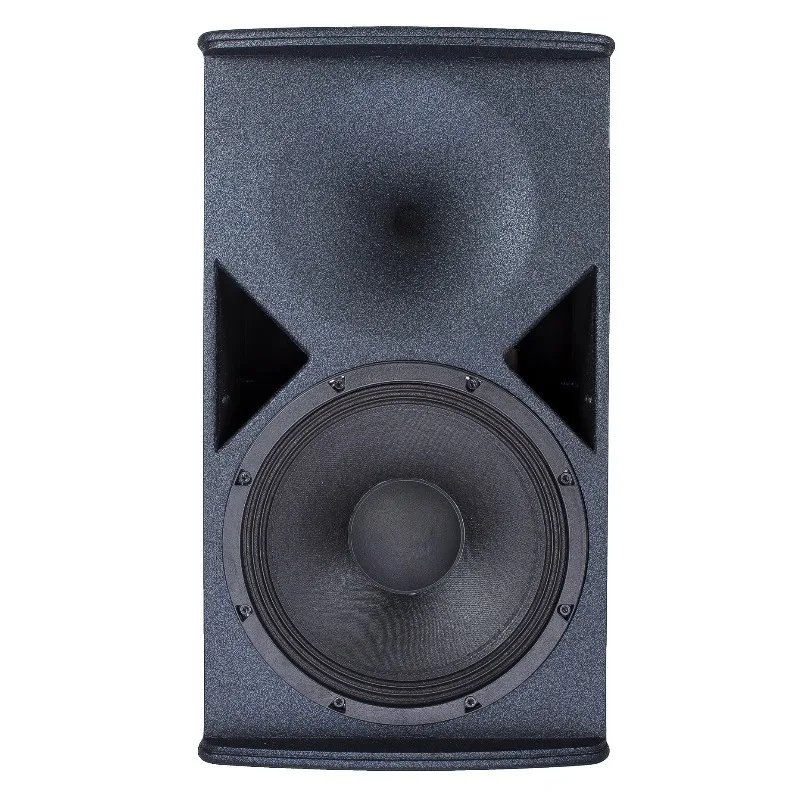Single 10 Inch Two-Way Full Range Speaker, Multifunctional Audio Device for Karaoke and Home Theater System