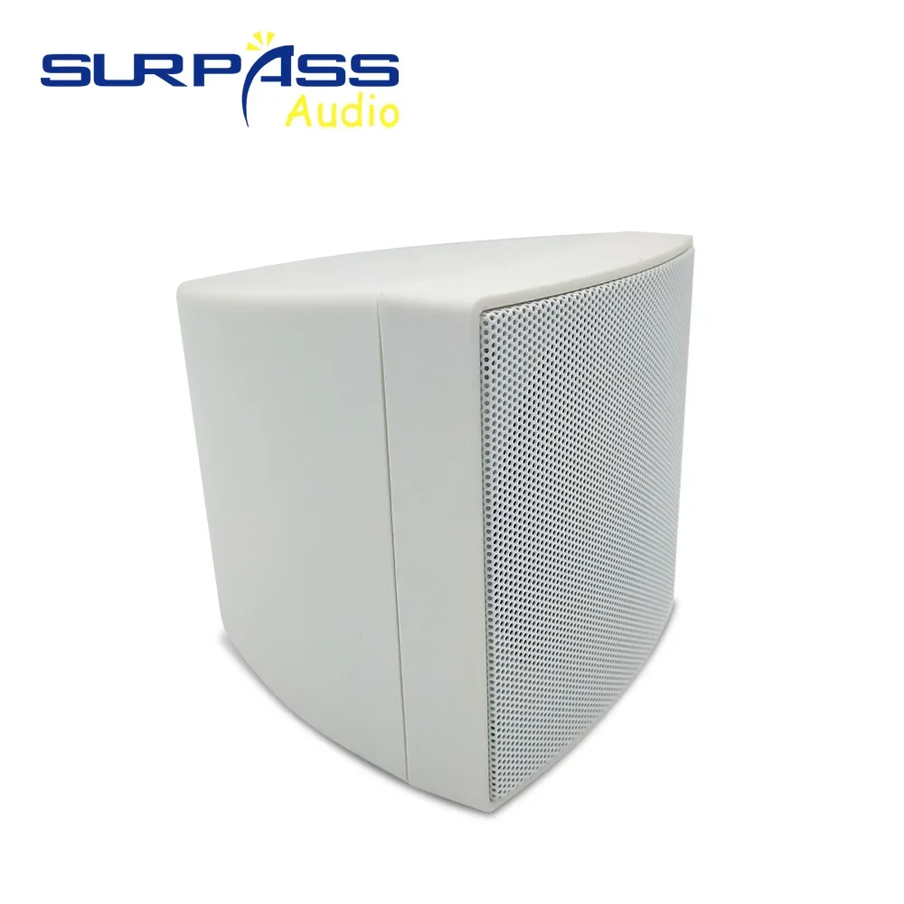 Mini Fashion Wall Mount Speaker 4inch Speaker Driver Coxial Pablic Address System Wall Loadspeaker Column Hearing