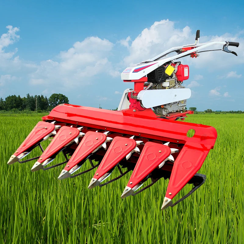 Multifunctional suncutter, small corn stalk, alfalfa, forage herbs, herbs, peppers, self-propelled wheat and rice harvester