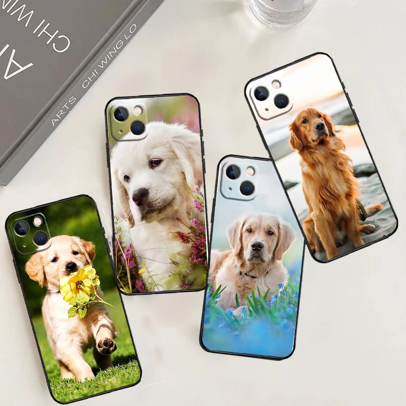 Golden Retriever Do… - image