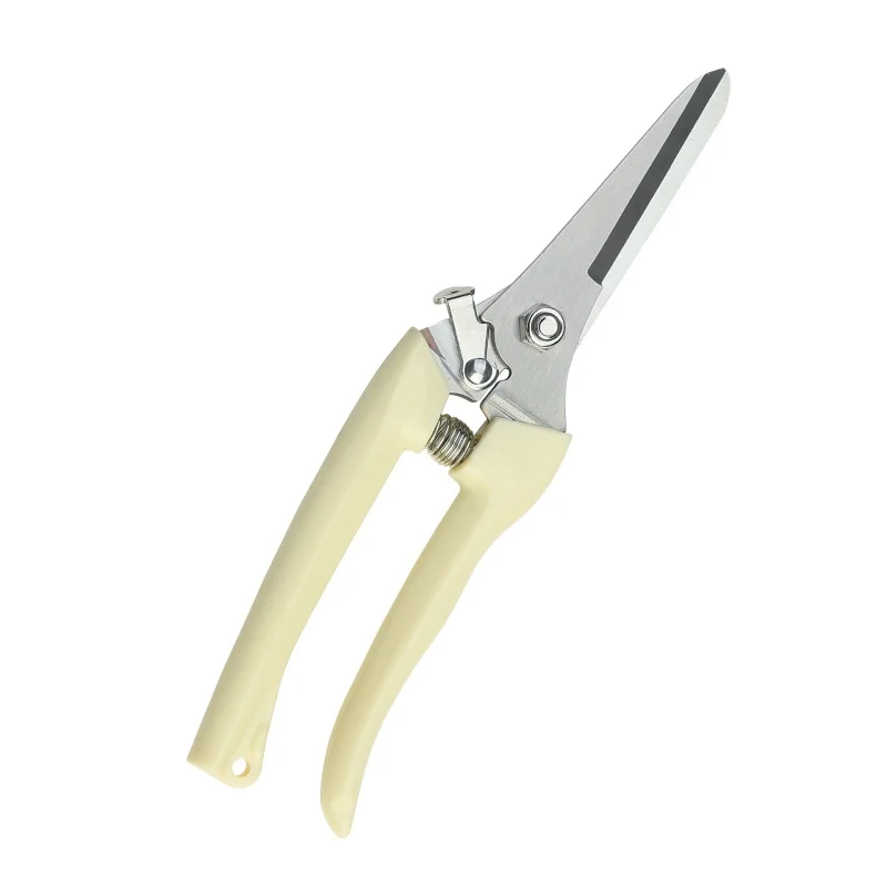 

Pruning and trimming garden trees and branches, floral branches, household scissors, grafting, and gardening tools