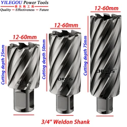 25 50 75mm HSS halka şeklindeki kesici 12-60mm çekirdek matkap ucu 3/4 