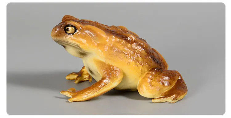 Pädagogische realistische Krötenfrosch-Figur, handbemaltes Wildtier, Insektenfigur, Gummi-Tiermodell, Spielzeug für Kinder – Detail 8