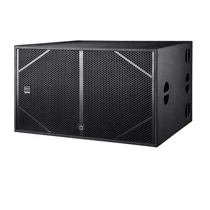 Audio System Dual 21 Inch Subwoofer High Power Active Subwoofer Neodymium Driver Stage Subwoofer Passive Speaker