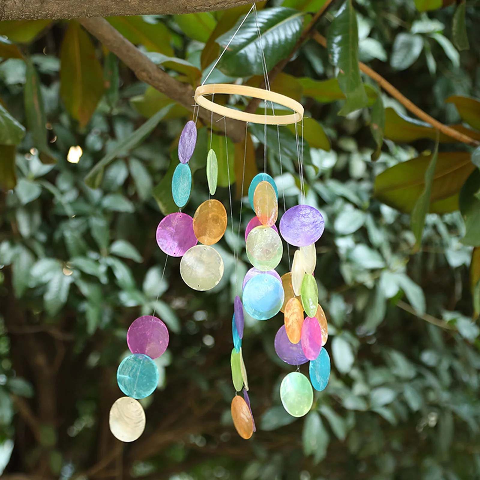 

100 Pcs Shell Sheet Decoration Conch Material Beads Shells Crafting Supplies Round Pieces Handmade Wind Chime Diy Slice Hanging