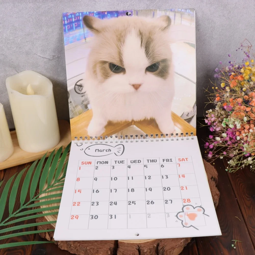 Calendario da parete con gatto divertente Calendario da parete 2026 12 Immagini di pianificazione mensile Gag Regali per gli amanti dei gatti Famiglia Amici