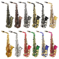 SLADE Eb E-flat Alto Saxophone Sax Shell Key Carve Pattern Woodwind Instrument with Backstraps Case Other Reed Aeccessaries