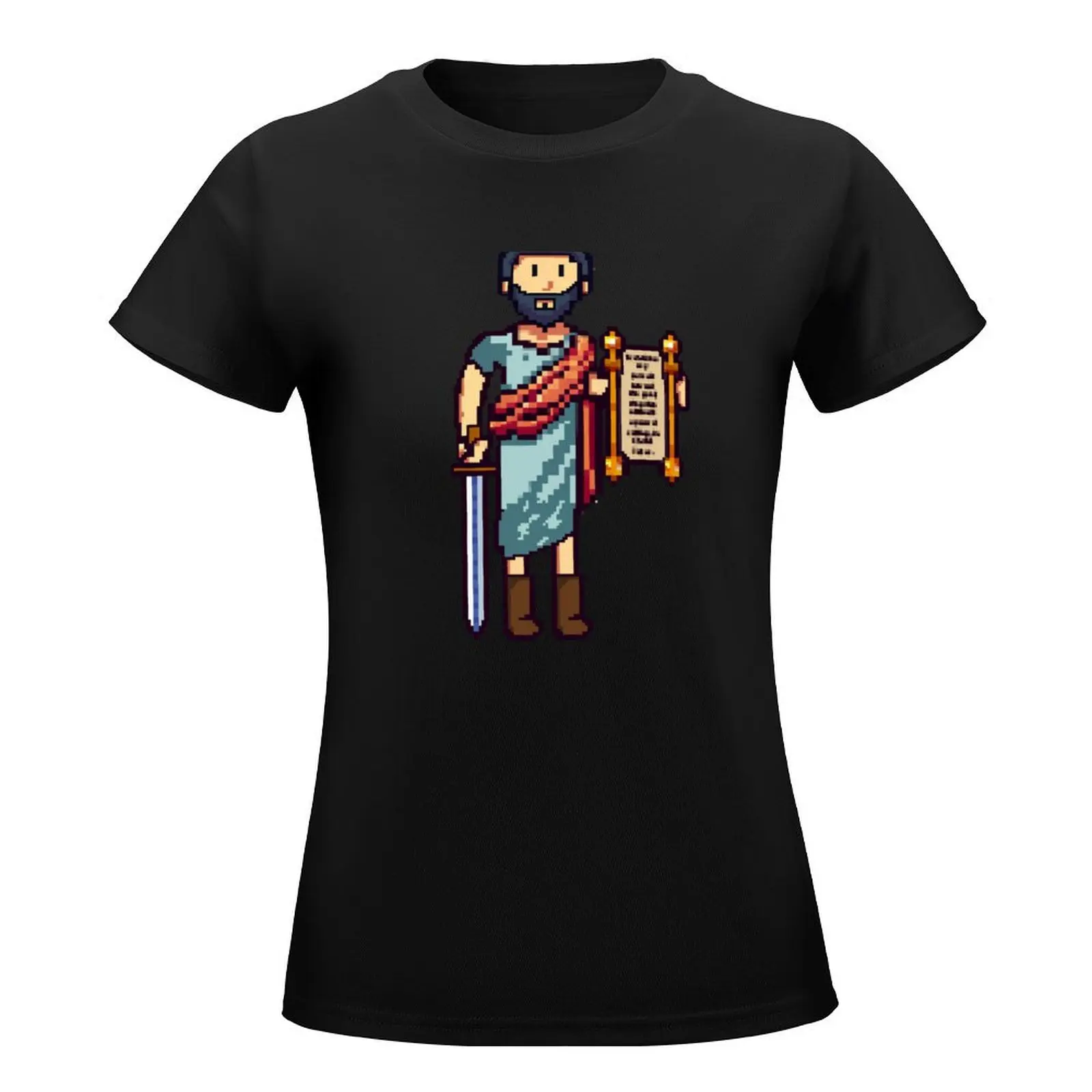 Saint Paul - Pixel Art T-Shirt tees animal print anime clothes summer blouses woman 2024