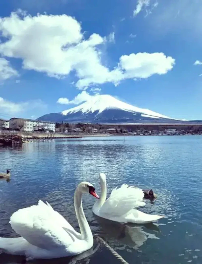 

Edition 1 Style Top Roof Bonnet Side Stripes Decal Stickers for Mercedes Benz W117 C117 X117 CLA45 AMG Black/White/5D Carbon