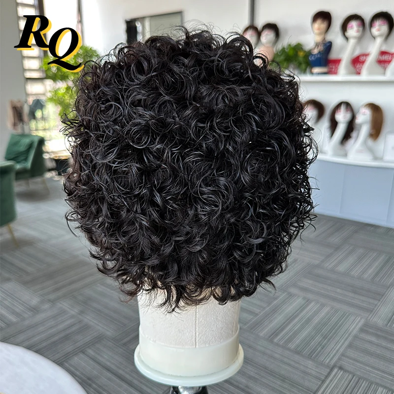 Curly Wig For Man Full Lace Wig Men\'s Hairpiece Toupee Men Virgin Human Hair Replacement System Pieces For Men Women Pixie Cut