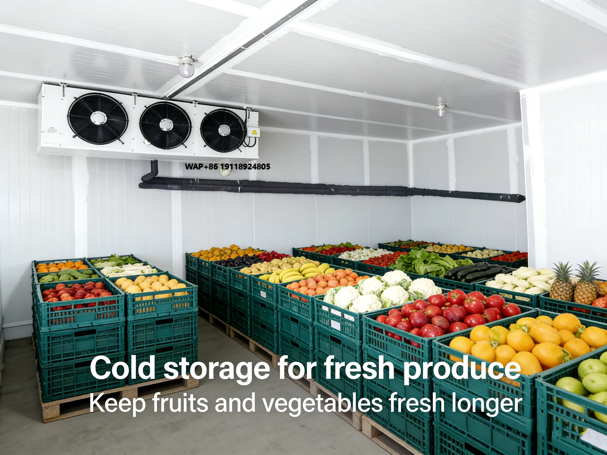 Cold Storage Room for Fruit and Vegetable Preservation