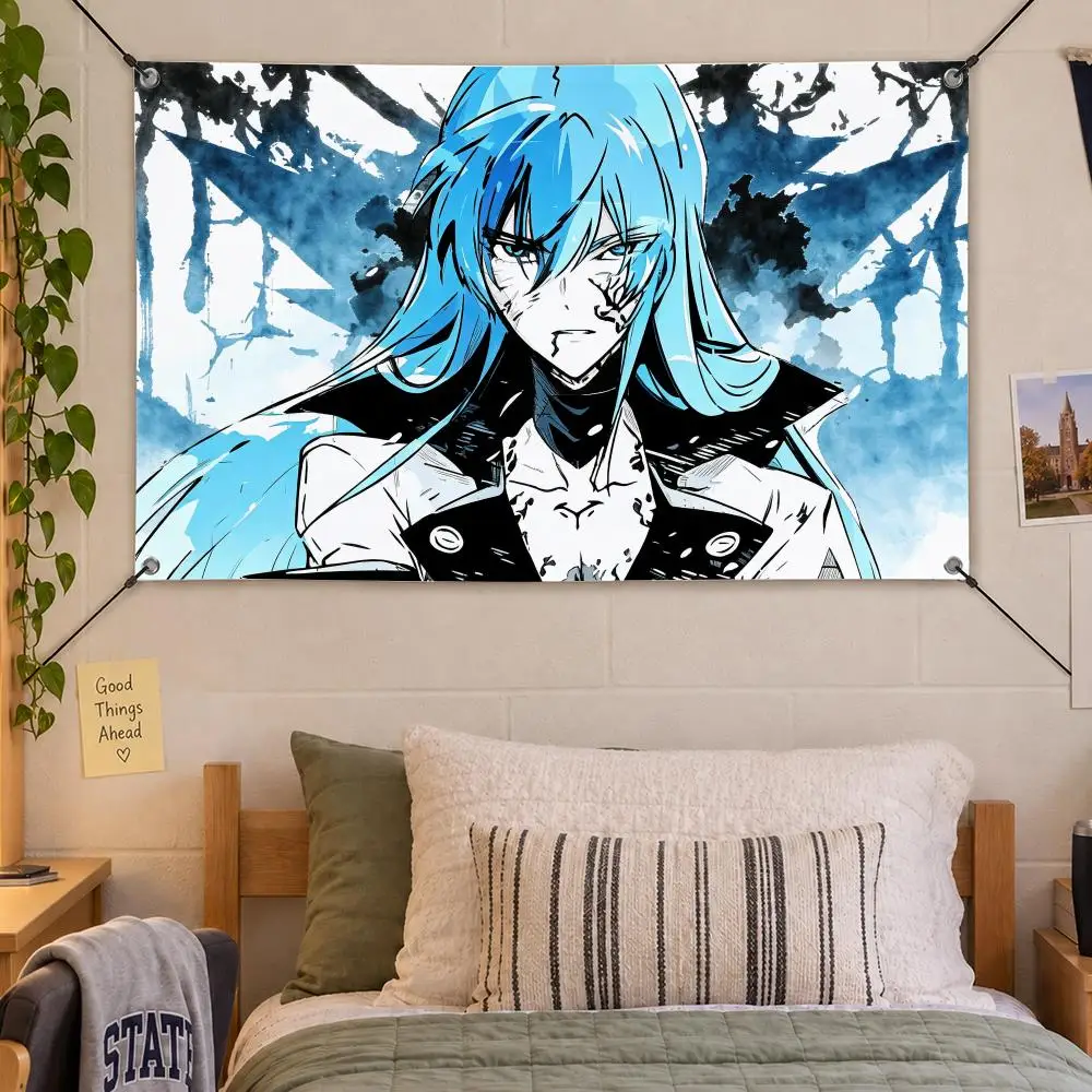 Anime Akame ga Kill Flags Decorative Flag Banner Indoor Bedroom Dorm Gaming Room Wall Party Club Decor Fan Gift