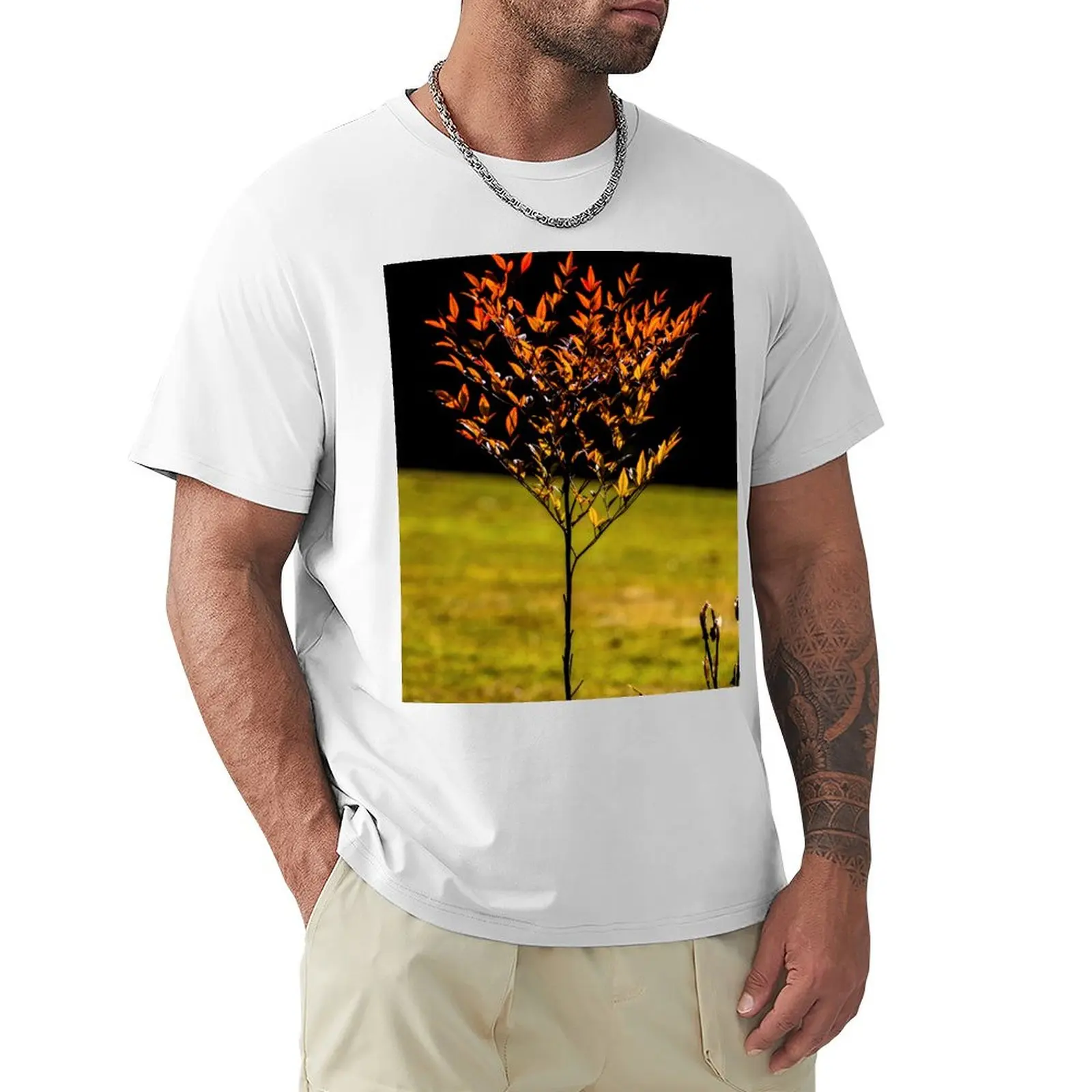 72 lone tree T-shirt quick-drying tops Blouse heavy weight t shirts for men