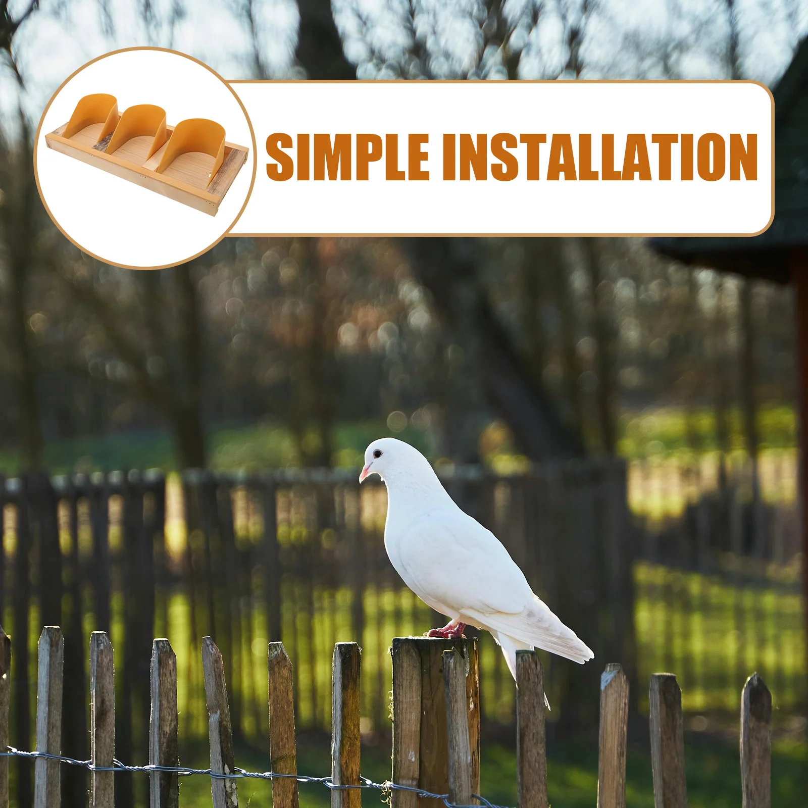 

Wooden Entrance European Style Durable Bird Cage Supplies Rounded Corner Easy Access Pigeon House Racing