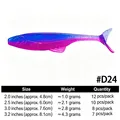 D24 NH