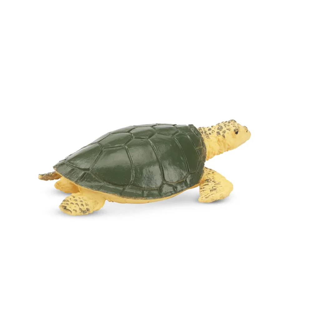 Toymany จําลองเต่าทะเล Ocean สัตว์ของเล่นมินิตัวเลขตุ๊กตา Action Figurines ของเล่นเด็กของขวัญตกแต่งเค้ก