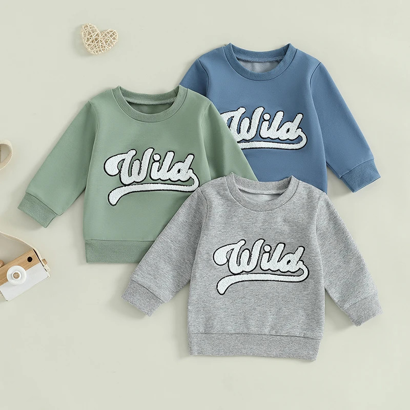 Kids Boys Sweatshirts Fuzzy Letter Embroidered Crew Neck Long Sleeve Pullovers Casual Hoodies