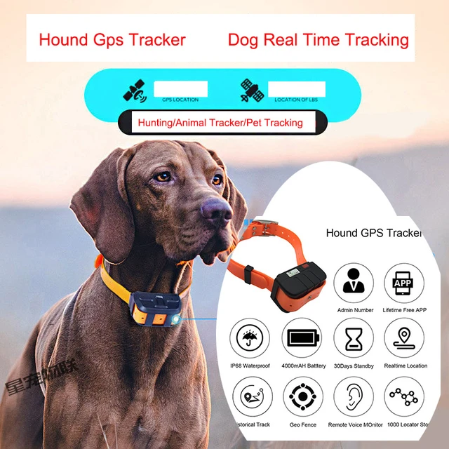 Pet gps fashion tracker aliexpress