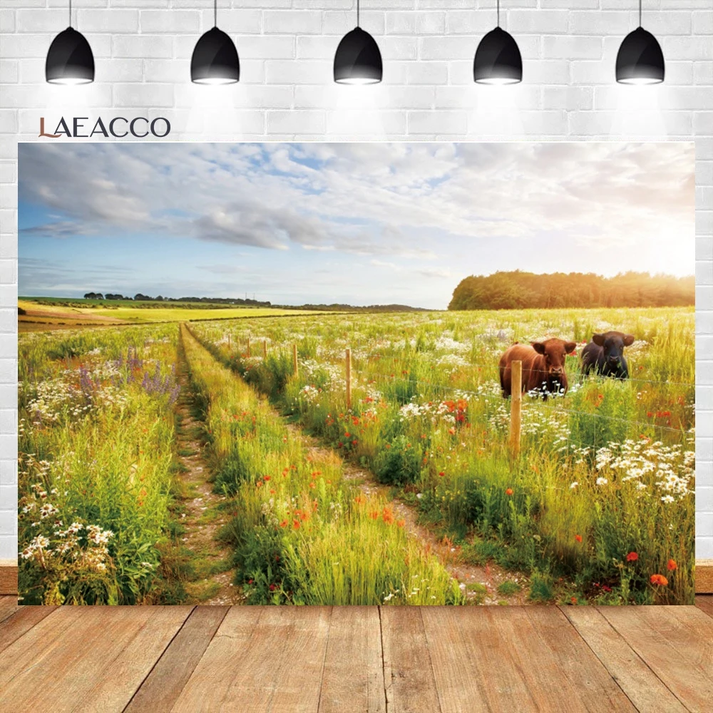 Laeacco Spring Rural Pasture Photography Backdrop Sunrise Field Meadow Wildflower Grass Cattle Kids Adults Portrait Background