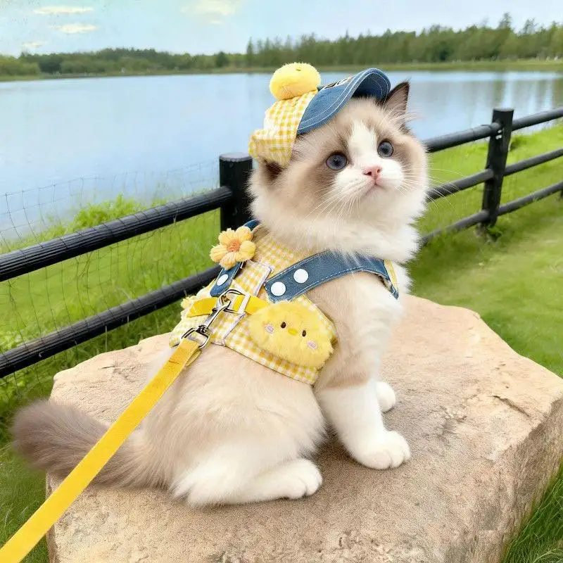 Cute Pet Harness Leash & Sun Hat Set 3