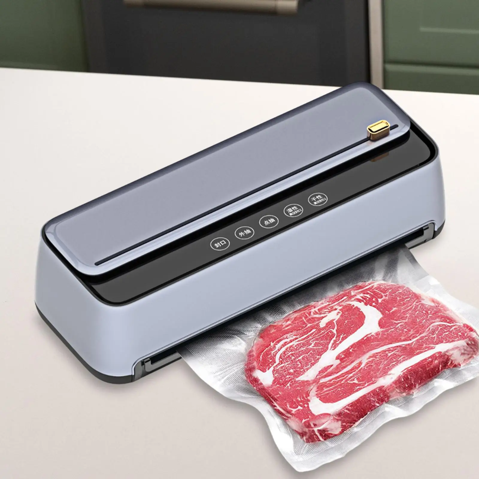 Máquina seladora a vácuo para alimentos secos e úmidos, armazenamento poderoso de alimentos Sous Vide