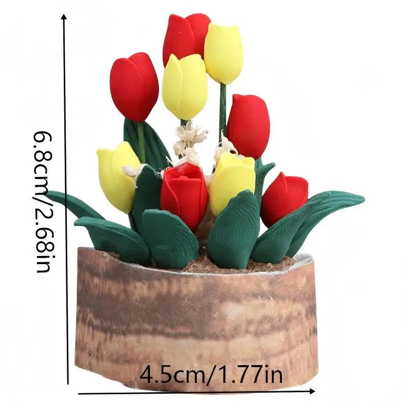 Xy 1Pc Simulation F…