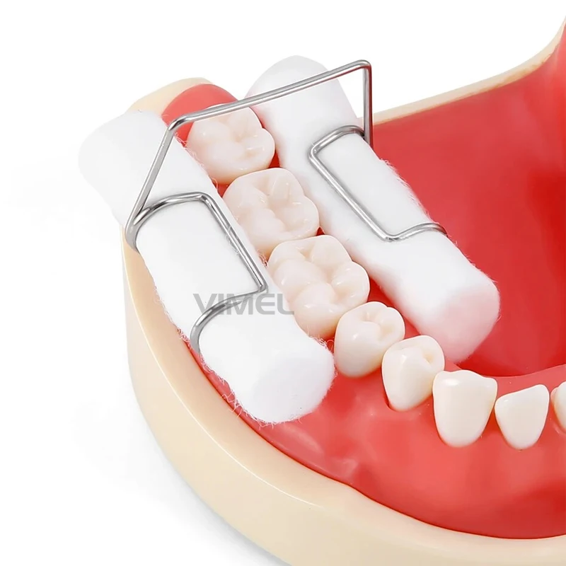 4 sztuk/pudło dentystyczny klips wilgotności bawełniana rolka ortodontyczny uchwyt narzędziowy ze stali nierdzewnej autoklawowalny materiał