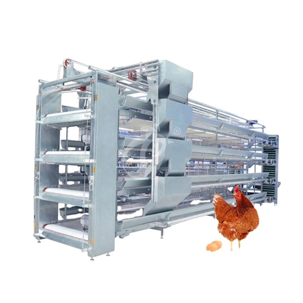 10000 Layer Chickens, Fully Automatic Bird Cage, Poultry Farm Equipment, Chicken Coop System